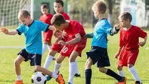 演唱会打造全城共融欢乐盛宴