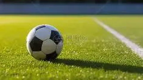 天博体育 产品 085719 5jk